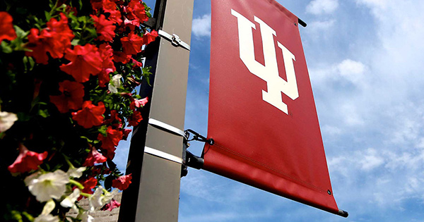 Web Style Guide: Indiana University